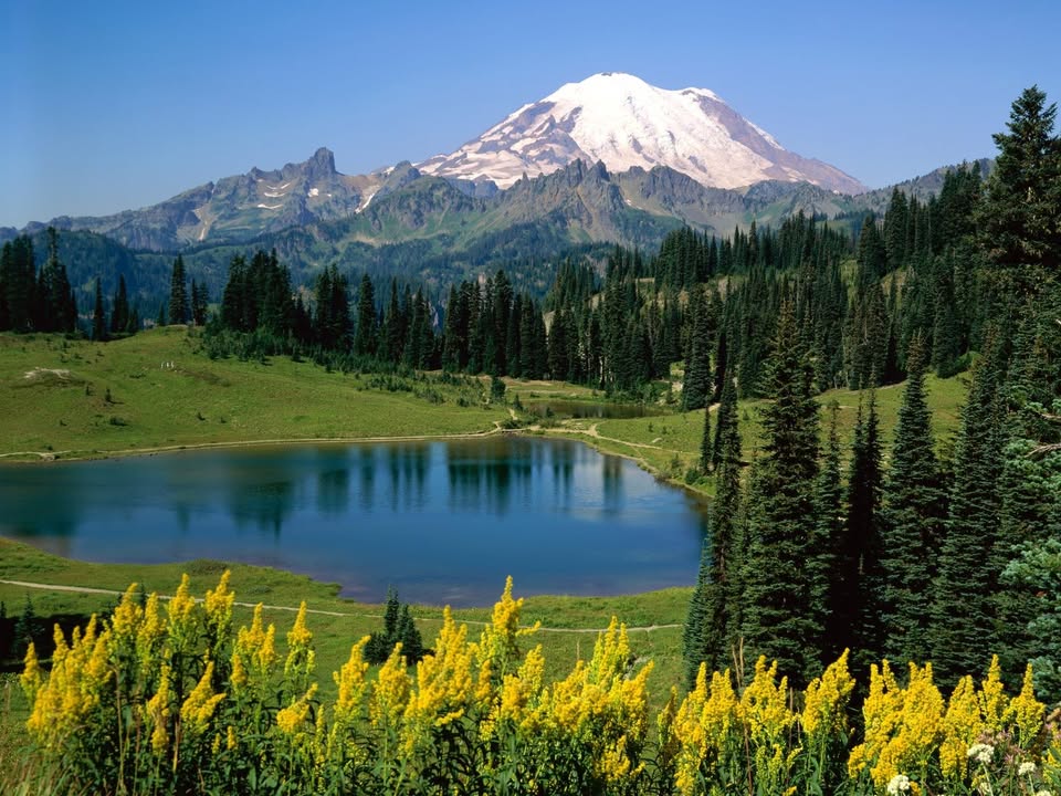 Washington State Genealogical Society